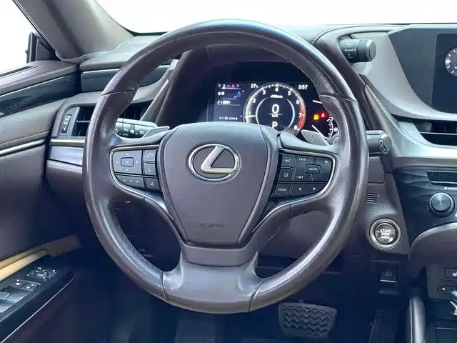 Lexus ES 2018 200 Excellence Edition China V фото 11