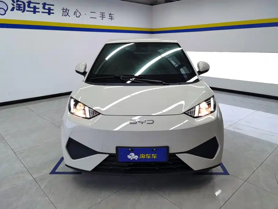 BYD Seagull 2026 2025 Smart Drive Edition 305km Vitality Version