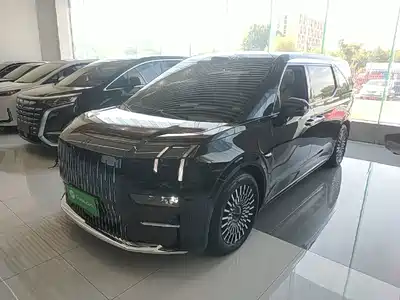 Zeekr 009