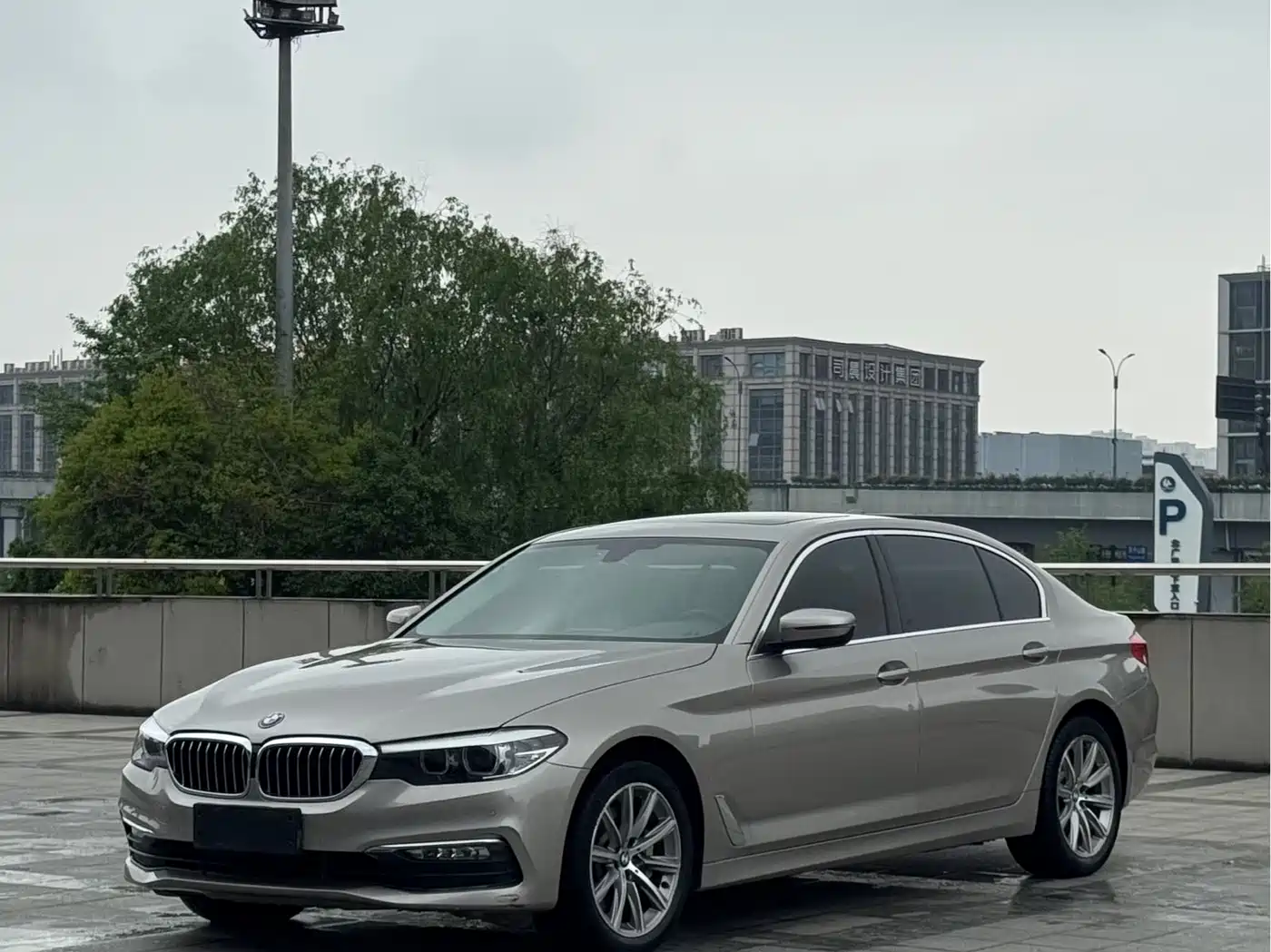 BMW 5 Series 2018 528Li Launch Special Edition