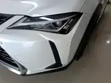 صورة 18 - Lexus UX