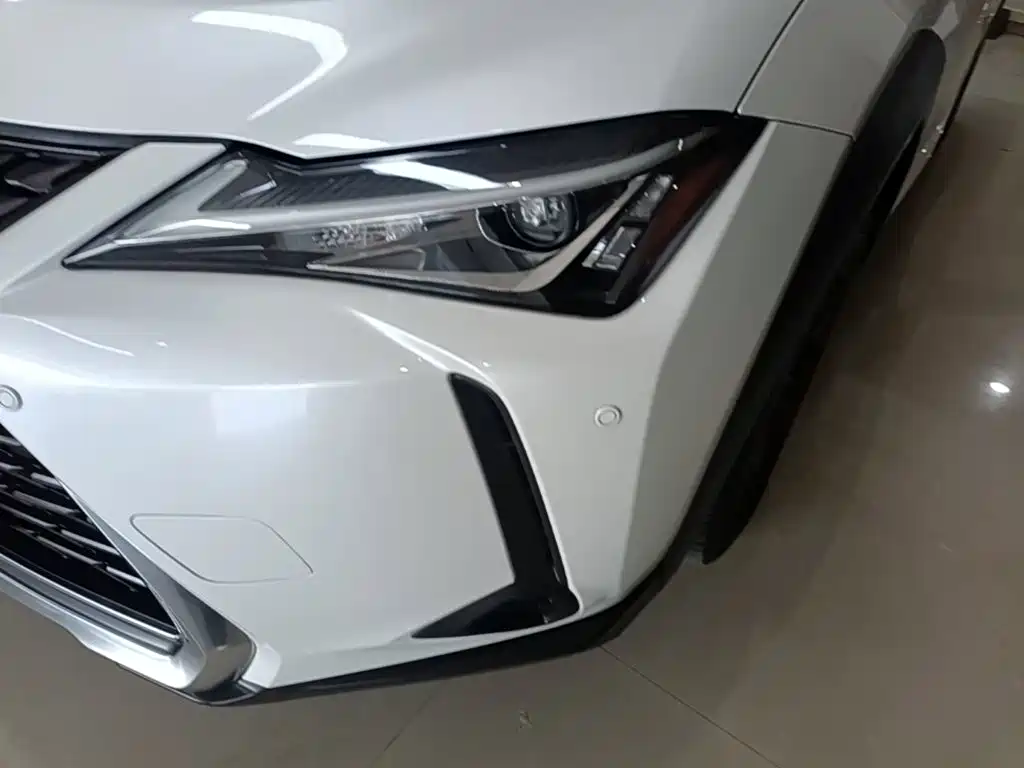صورة 18 - Lexus UX