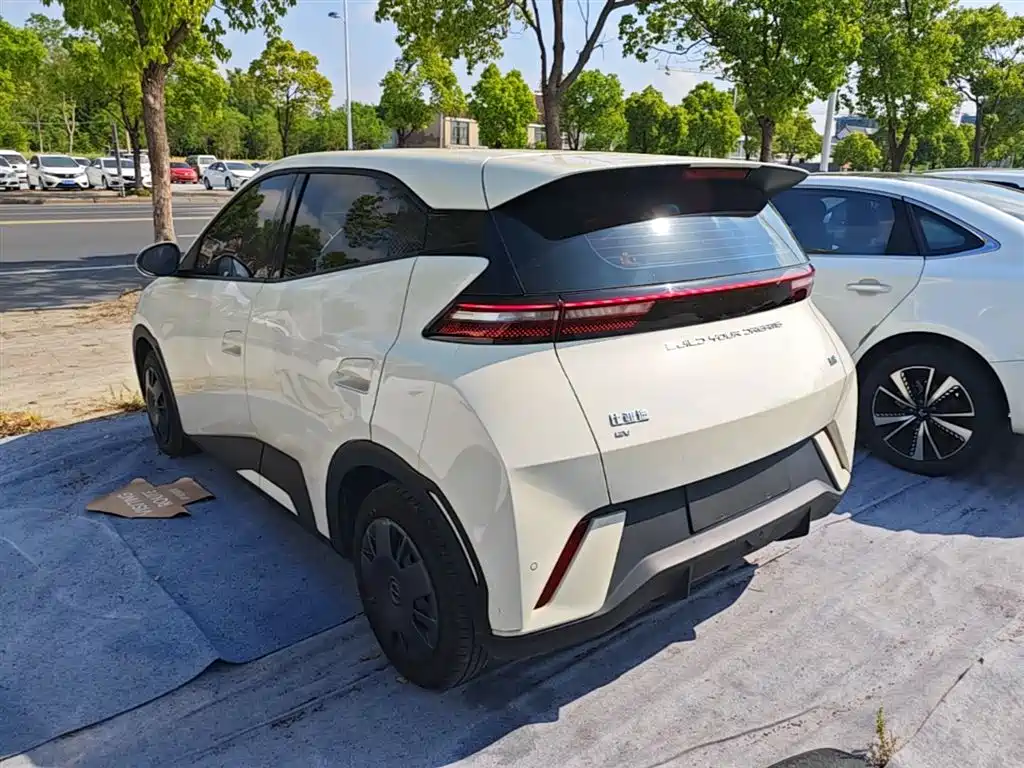 BYD Seagull 2024 Glory Edition 305km Vitality Edition фото 5