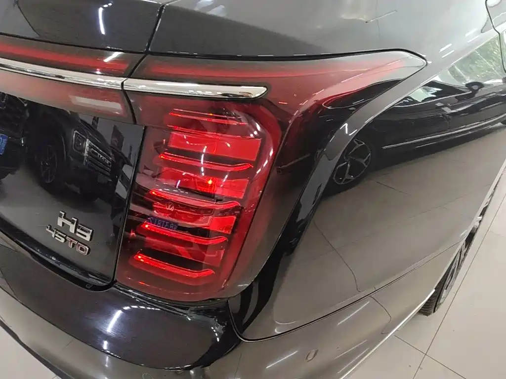 صورة 8 - Hongqi H9
