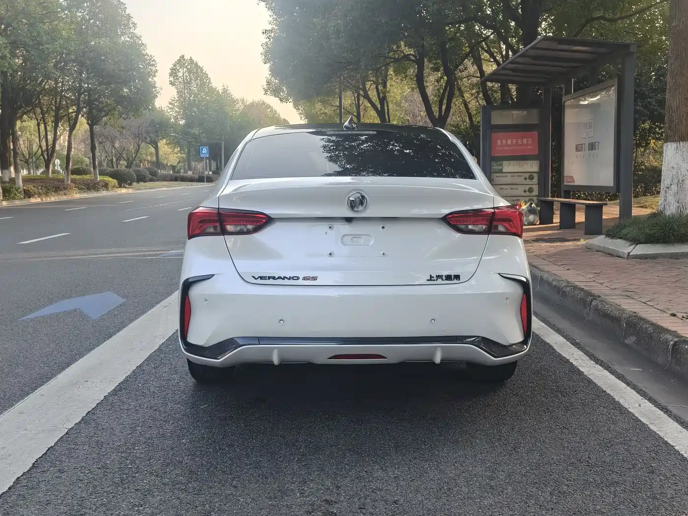 BUICK WEILANG