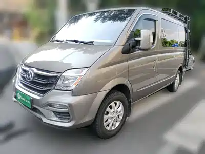 Maxus New V80