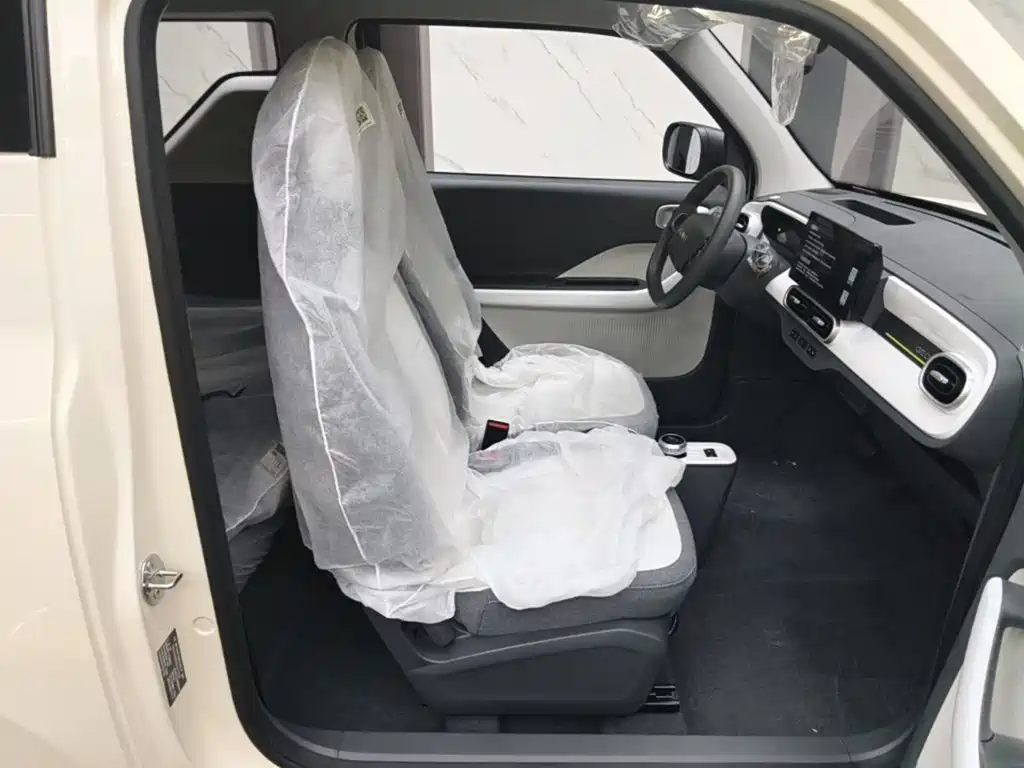 Geely Galaxy Panda 2026 2025 Panda mini 210km Vitality Bear