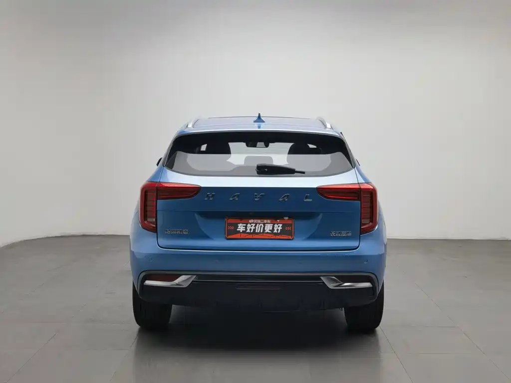 2021 Haval First Love