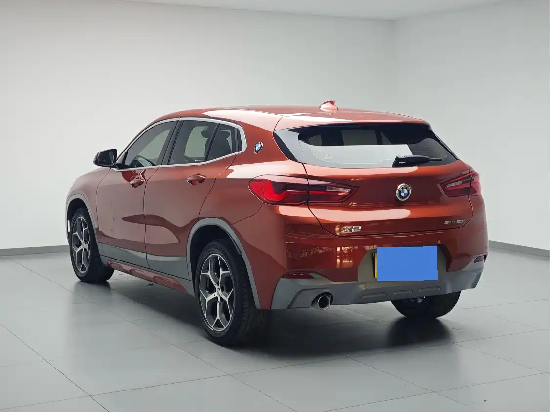 BMW X2 (Import) 2019 2019 sDrive20i M Off-Road Package China VI
