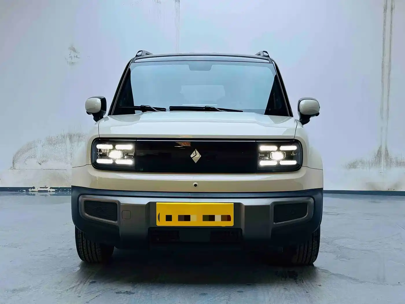 Baojun Yueye Plus 2025 2026 301km Flagship