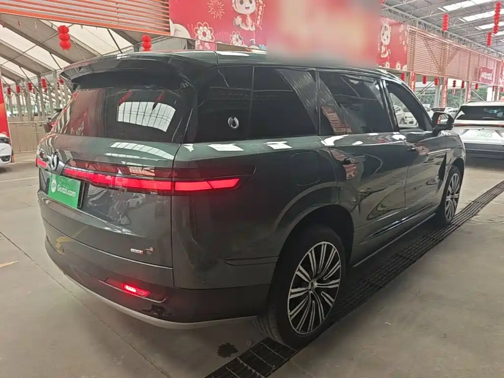 Denza N9 2025 2025 Flagship Model