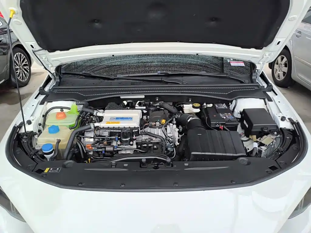 GAC Trumpchi Trumpchi Emkoo 2025 2024 Model 270T DCT Shadow Leopard S Edition