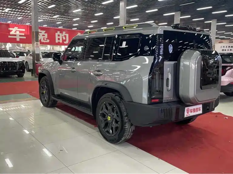 Jetour Shanhai T2 2024 2024 C-DM 208KM Wilderness Edition