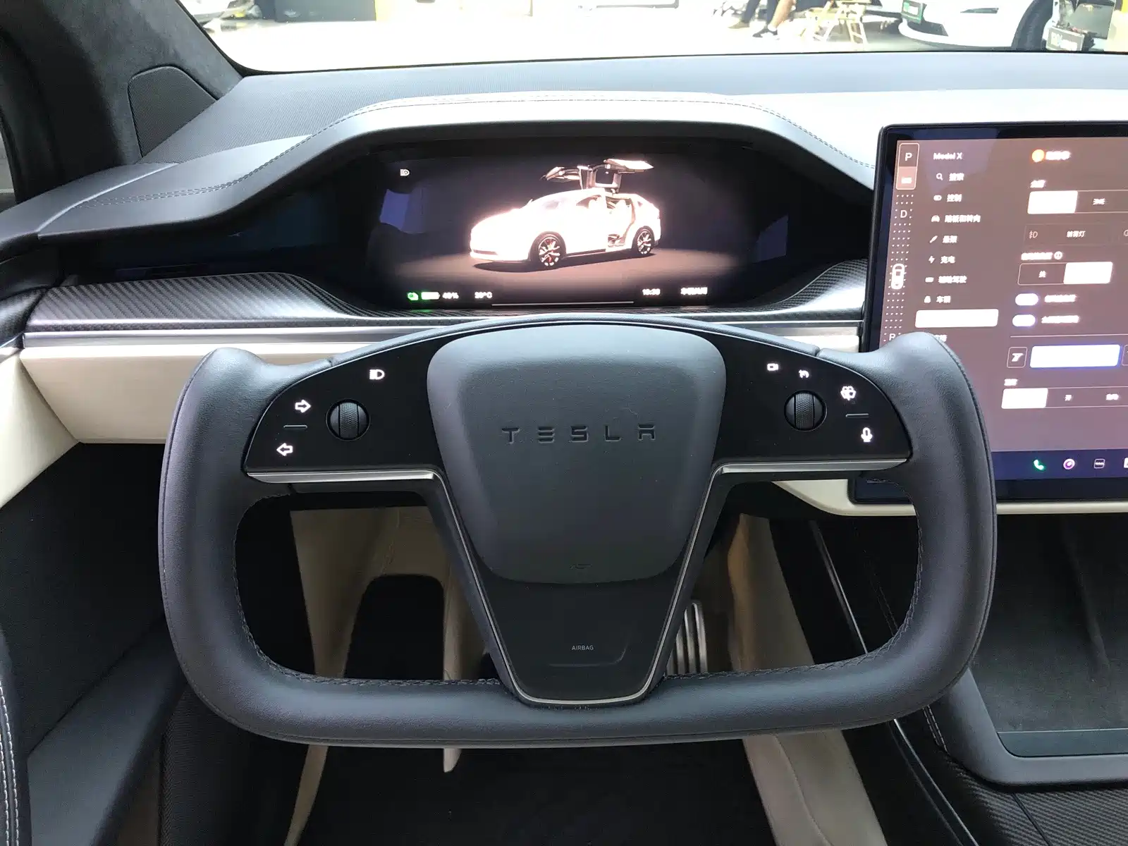 Фото 19 - Tesla Model X