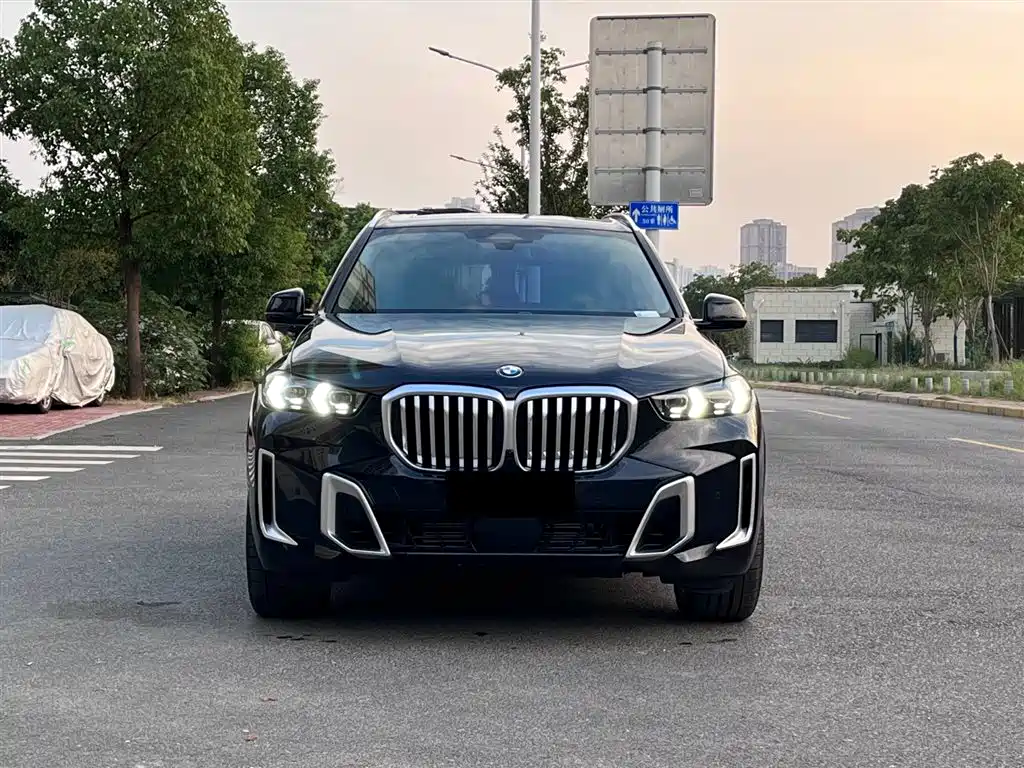BMW X5 2023 xDrive 30Li Premium M Sport Package фото 2