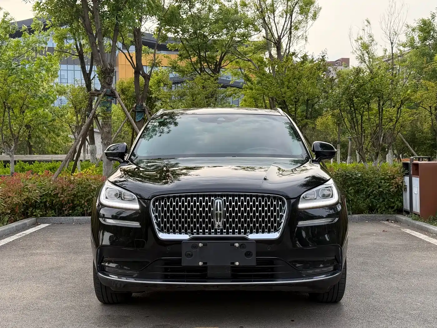 Фото 2 - Lincoln Adventurer
