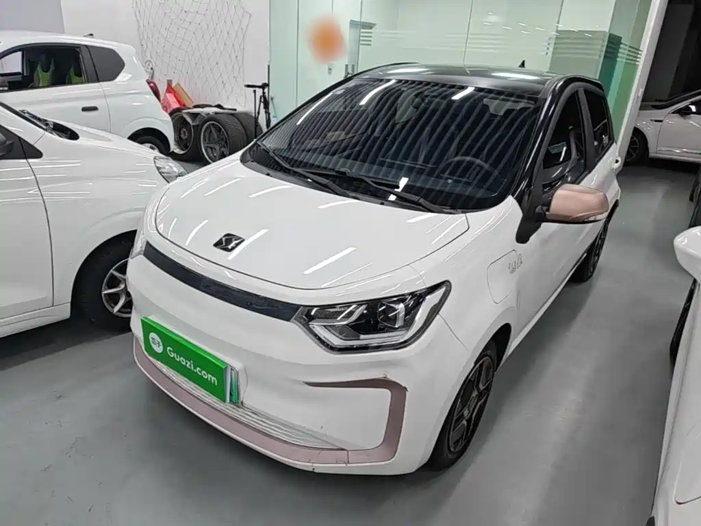 Sehol Flower Fairy 2022 2021 302km Fashion Edition 31.4kWh