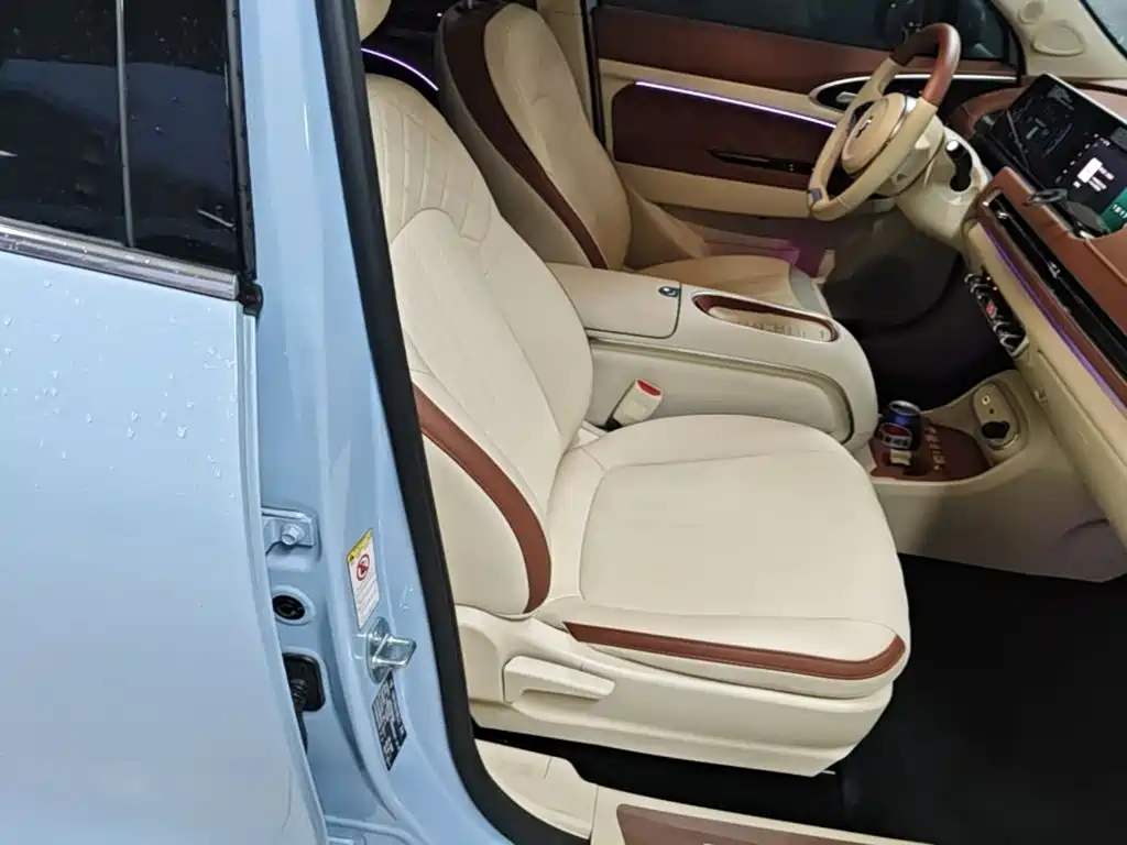 Ora Good Cat 2024 2023 401km Standard Range Luxury LFP