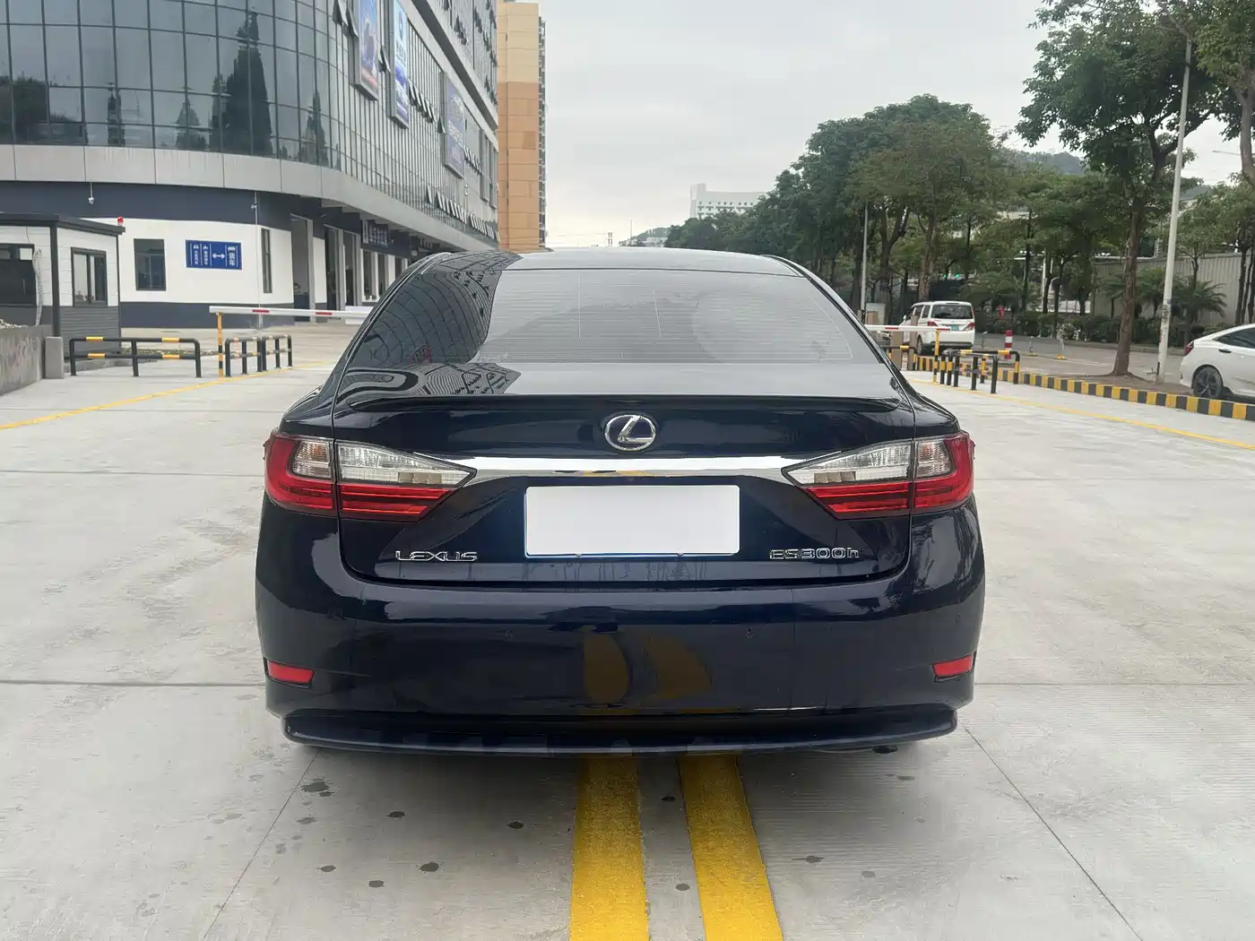 Lexus ES 2015 300h Comfort Edition фото 8