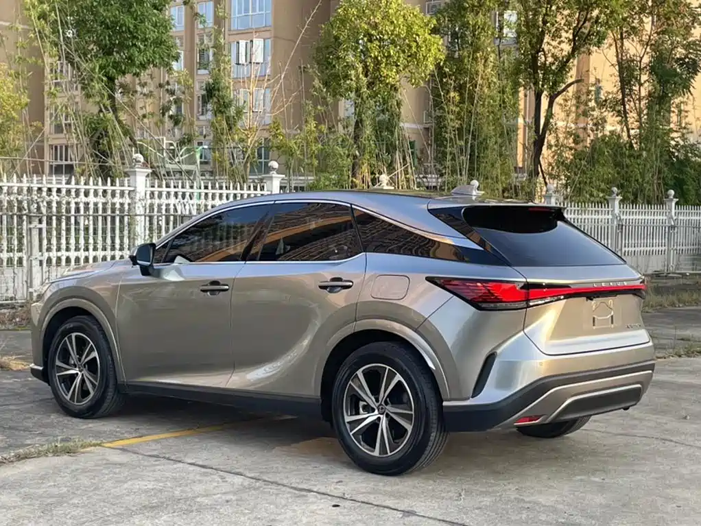 Фото 13 - Lexus RX