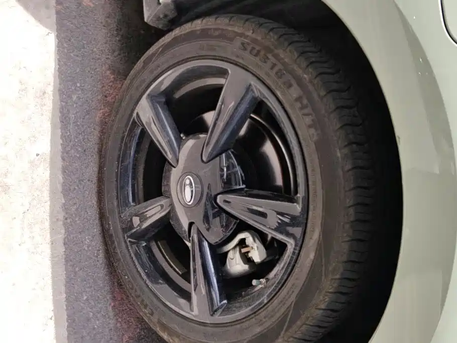 Ora Good Cat 2024 2024 401km Honor 135kW