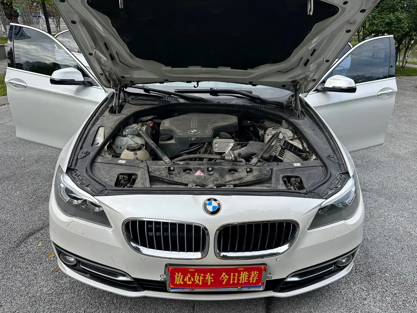 BMW 5 Series 2017 525Li Luxury Design Package фото 19