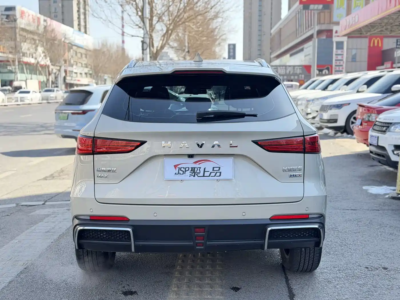HAVAL XIAOLONG MAX