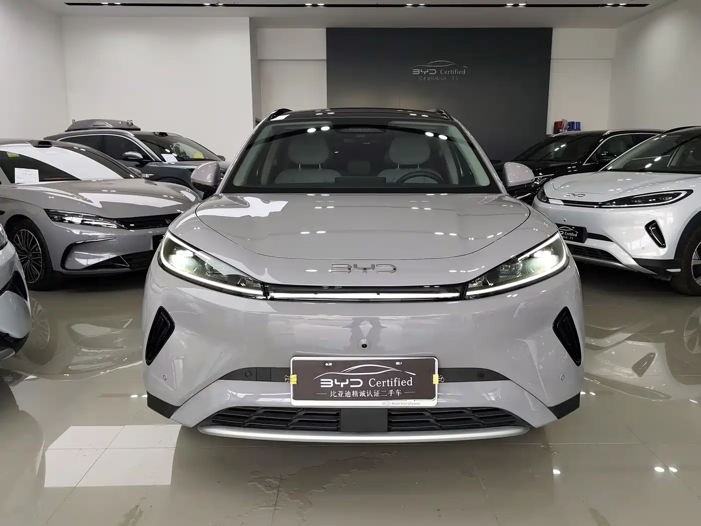 BYD Hai Shi 05 EV 2025 2025 520KM Smart Navigation Edition