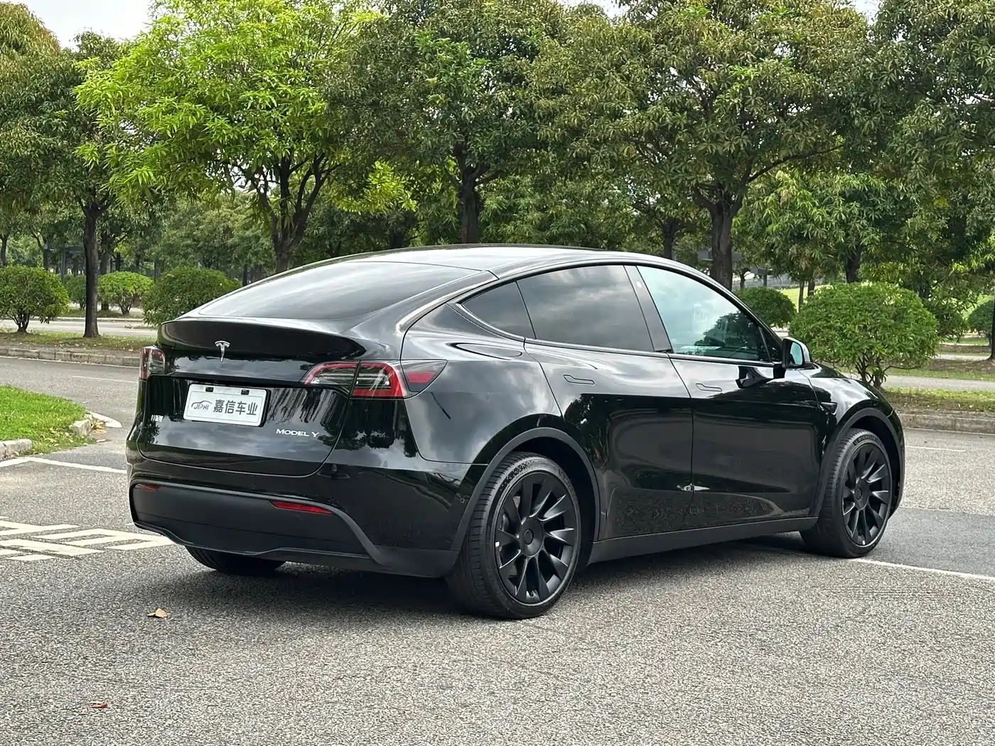 TESLA MODEL Y
