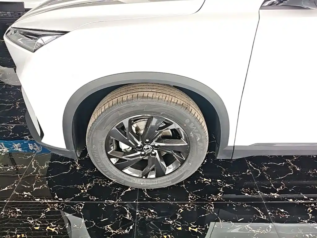 Фото 25 - Dongfeng Aeolus SKY EV01