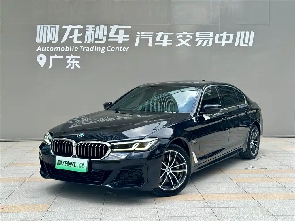 BMW 5 Series New Energy 2022