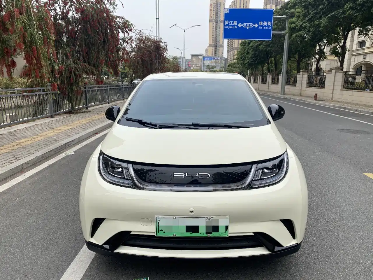 BYD DOLPHIN
