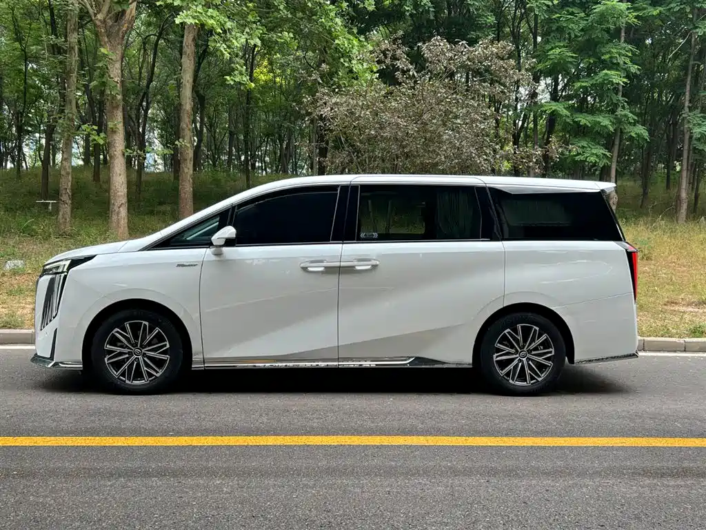 GAC Trumpchi Trumpchi M8 2024 Patriarch Series 400T Ultimate Edition фото 27