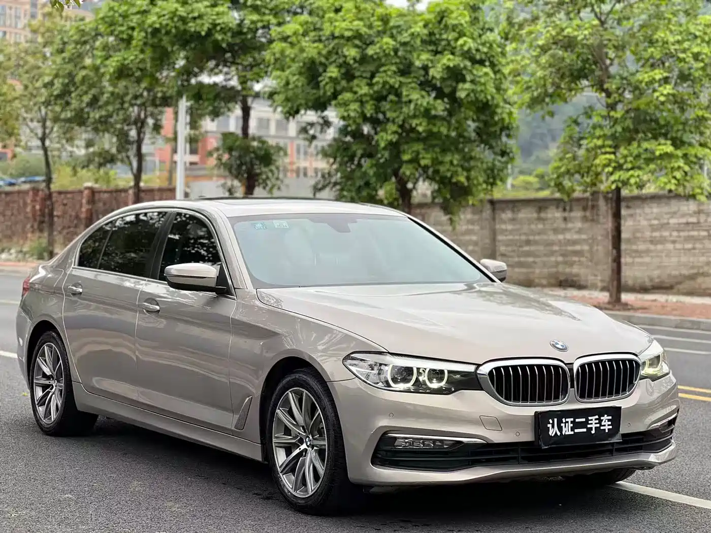 BMW 5 Series 2018 528Li Launch Special Edition фото 3