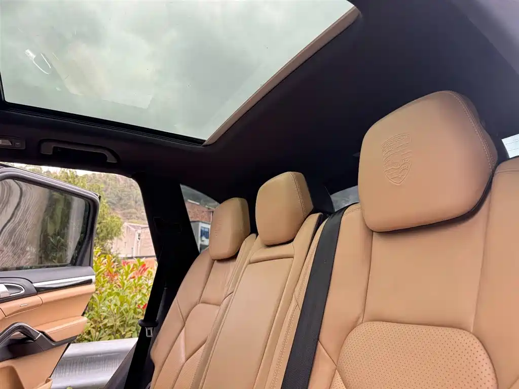 Porsche Cayenne 2014 Cayenne Platinum Edition 3.0T фото 40