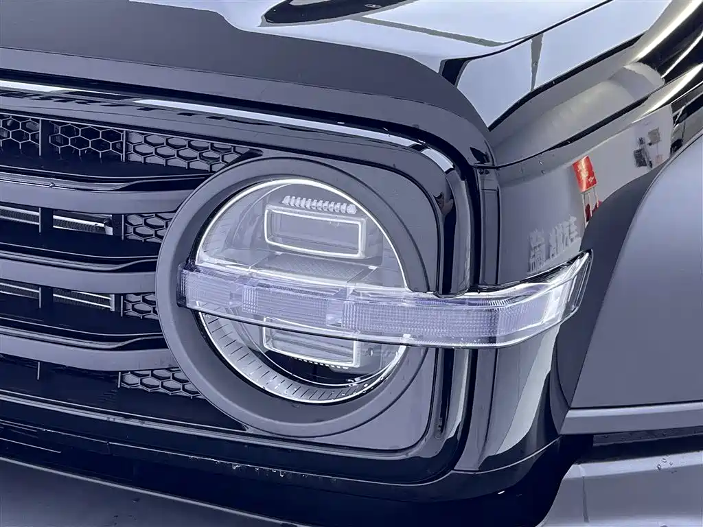 TANK TANK 300 NEW ENERGY