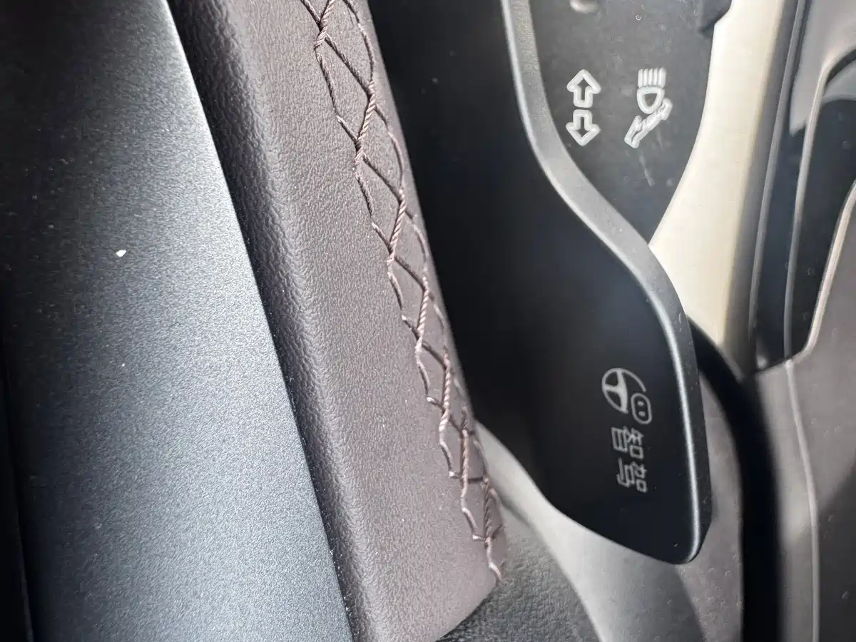 BYD SONGJIANG NEW ENERGY