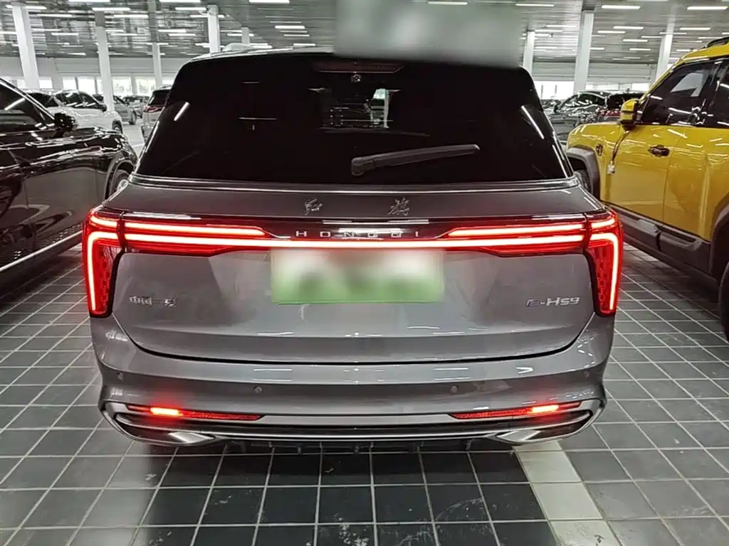 Hongqi E-HS9 2022 660km Qi Chang Edition (6-seater) фото 6