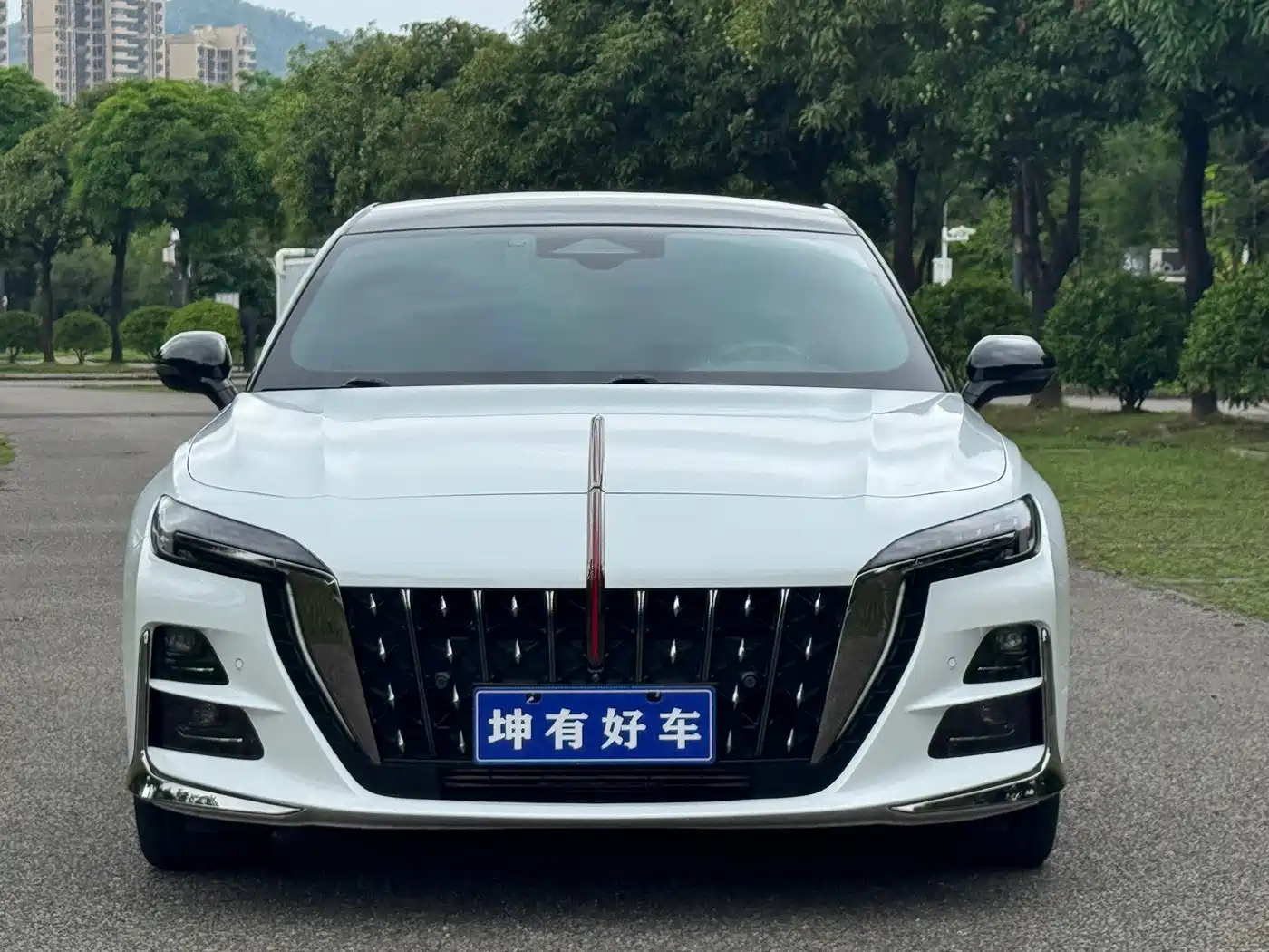 Hongqi H6 2023 2.0T Premium Edition фото 2