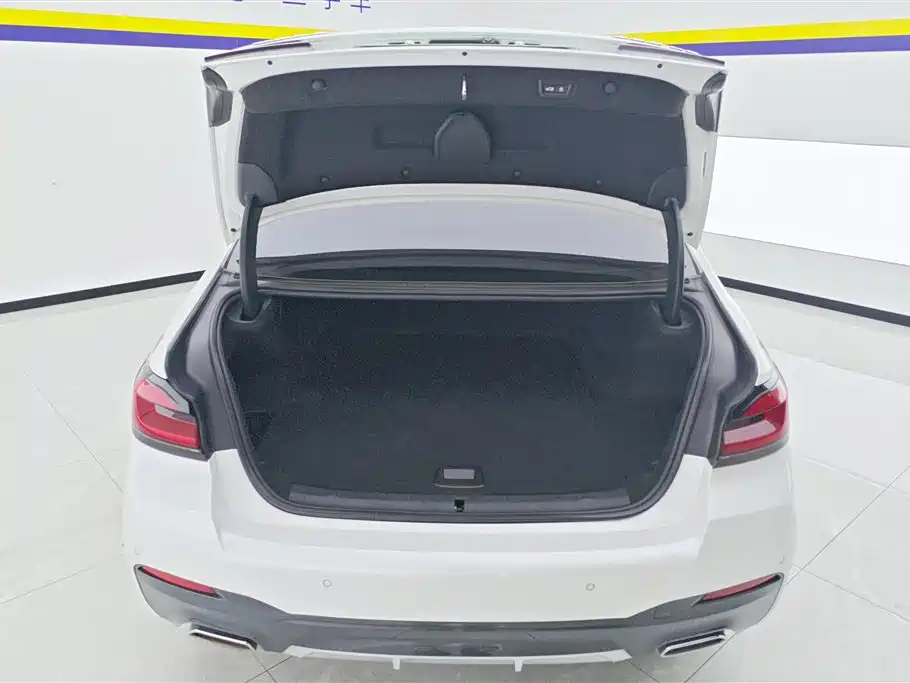 BMW 5 SERIES NEW ENERGY