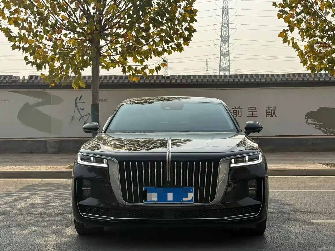 Hongqi HONGQI H9