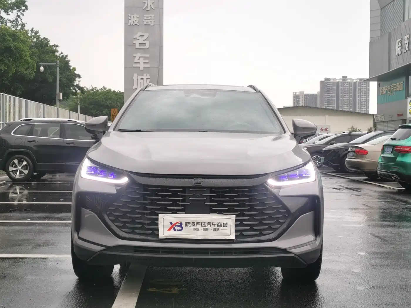 2025 BYD Tang New Energy