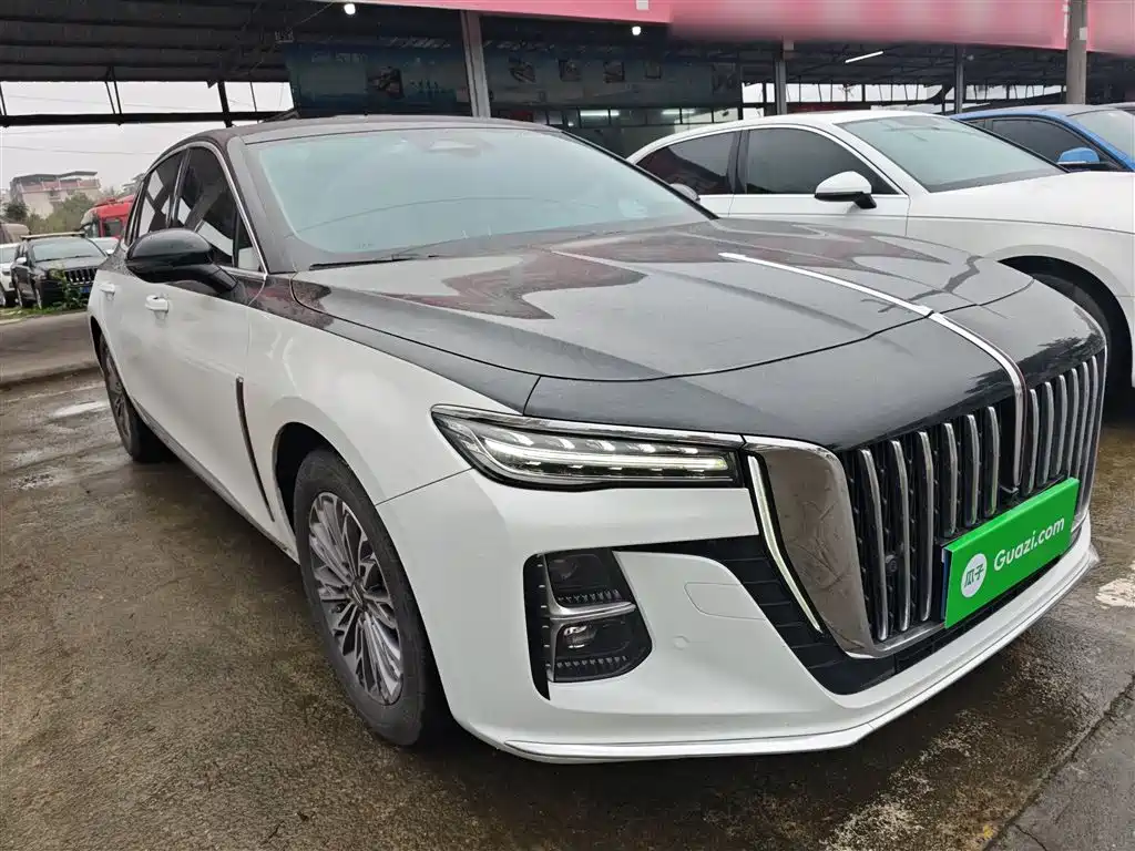 Hongqi H5 2023 2.0T Auto Smart Connect Flag Enjoy фото 22