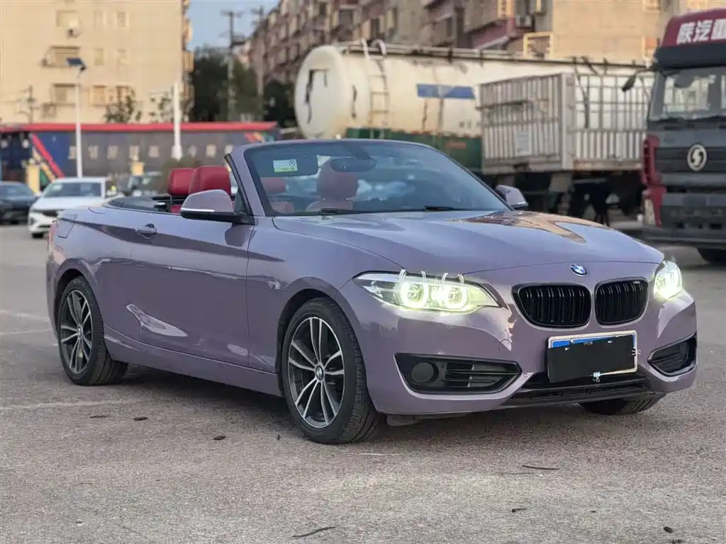 BMW 2 Series (Import) 2018 220i Convertible Coupe Sport Design Package фото 21