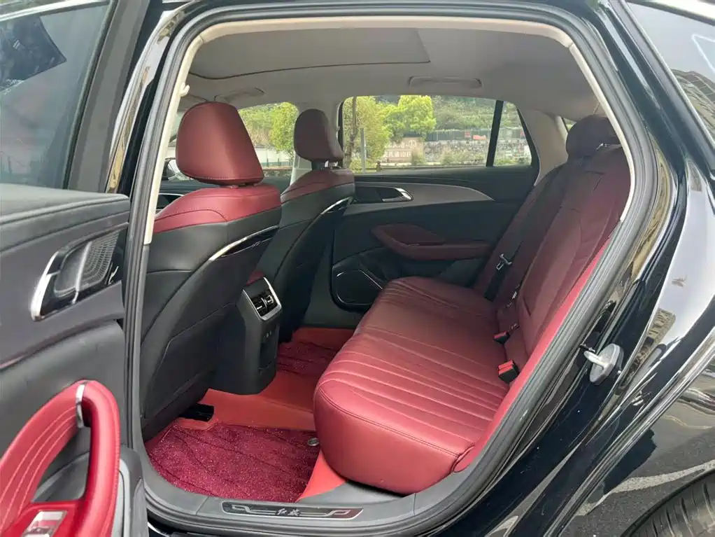 Hongqi H5 2023 2.0T Auto Smart Connect Flag Comfort фото 6