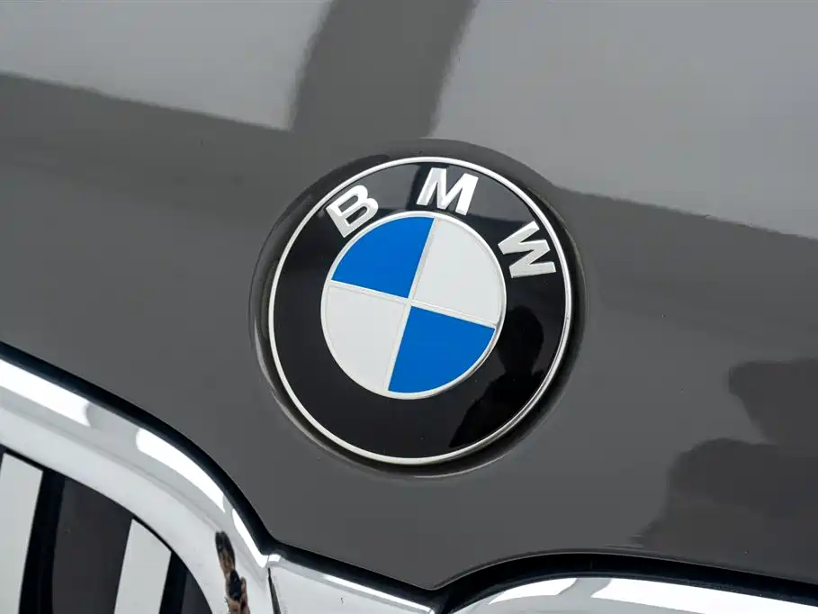 BMW 7 Series 2021 Model 730Li M Sport Package фото 9