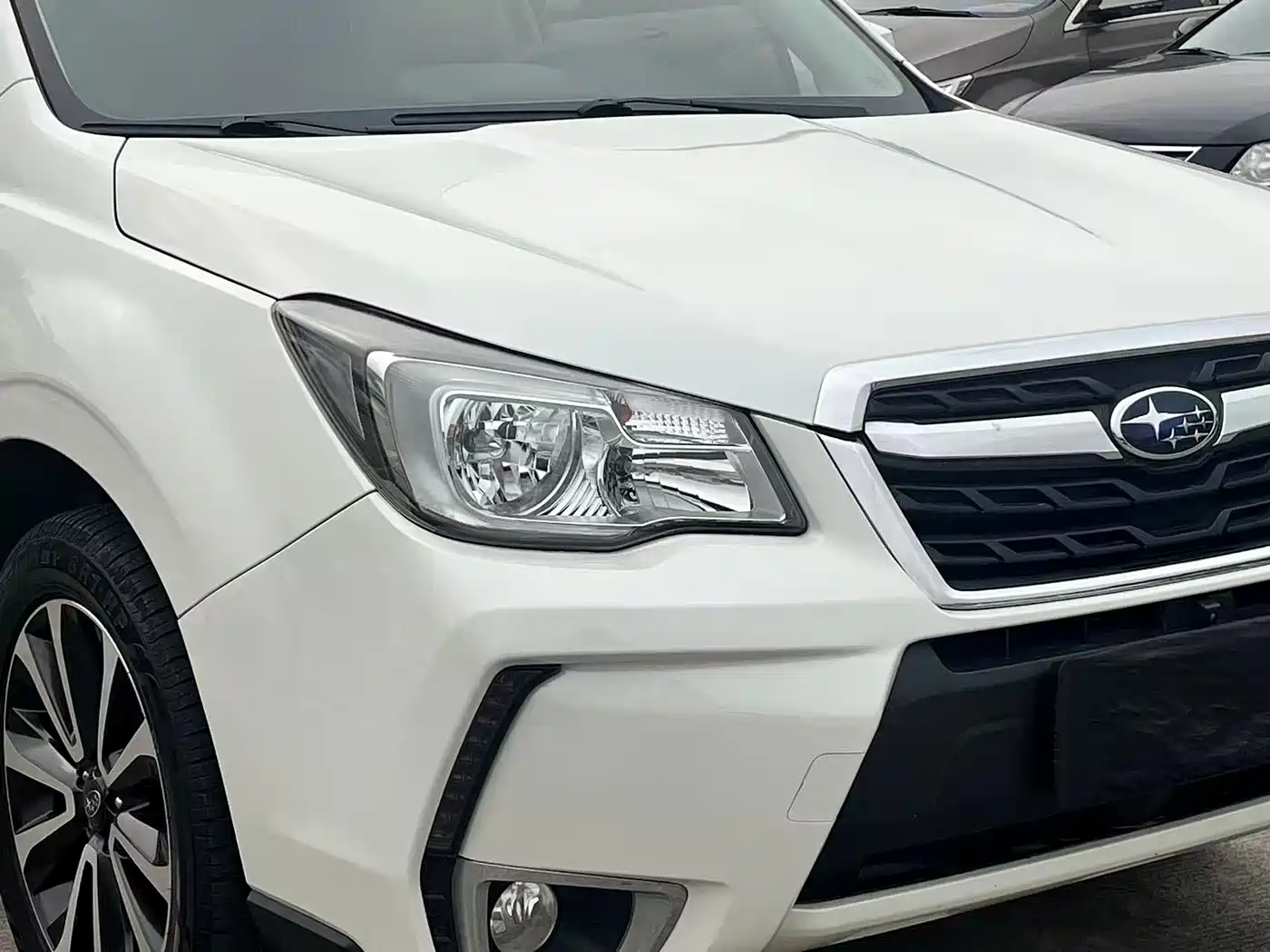 Subaru Forester 2016 2.0i Fashion Navigation Edition фото 7
