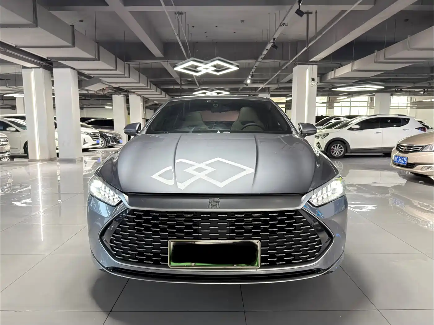 BYD Qin PLUS 2023 Champion Edition DM-i 120KM Leading Type фото 2