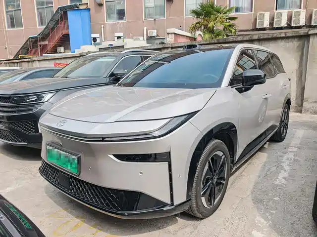 TOYOTA PLATINUM WISDOM 3X