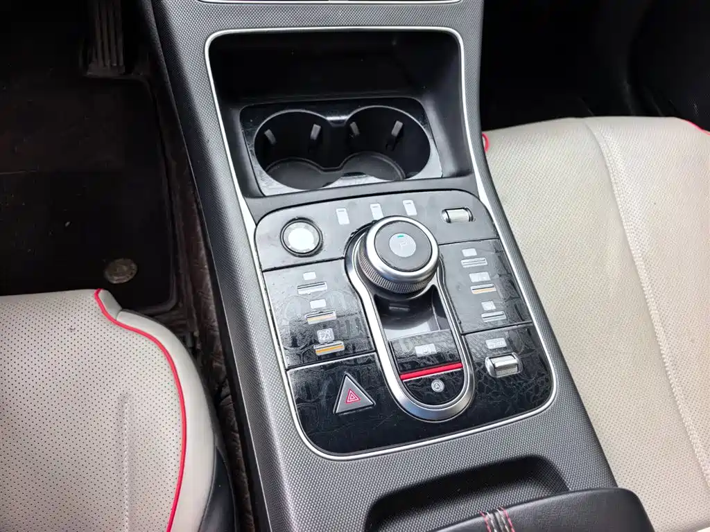 BYD Destroyer 05 2023 Champion Edition DM-i 55KM Luxury фото 16